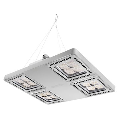 LED-Hallenpendelleuchte 4000K 253W DALI symmetrische Optik