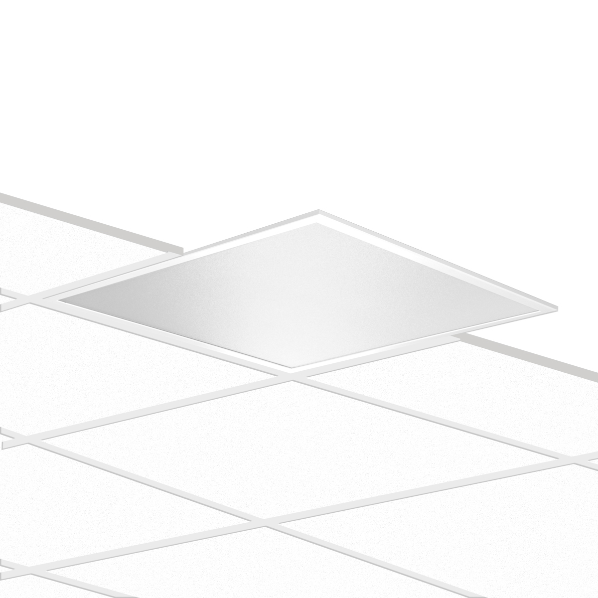 PLATO 600 MP 28.5 830 UGR<19