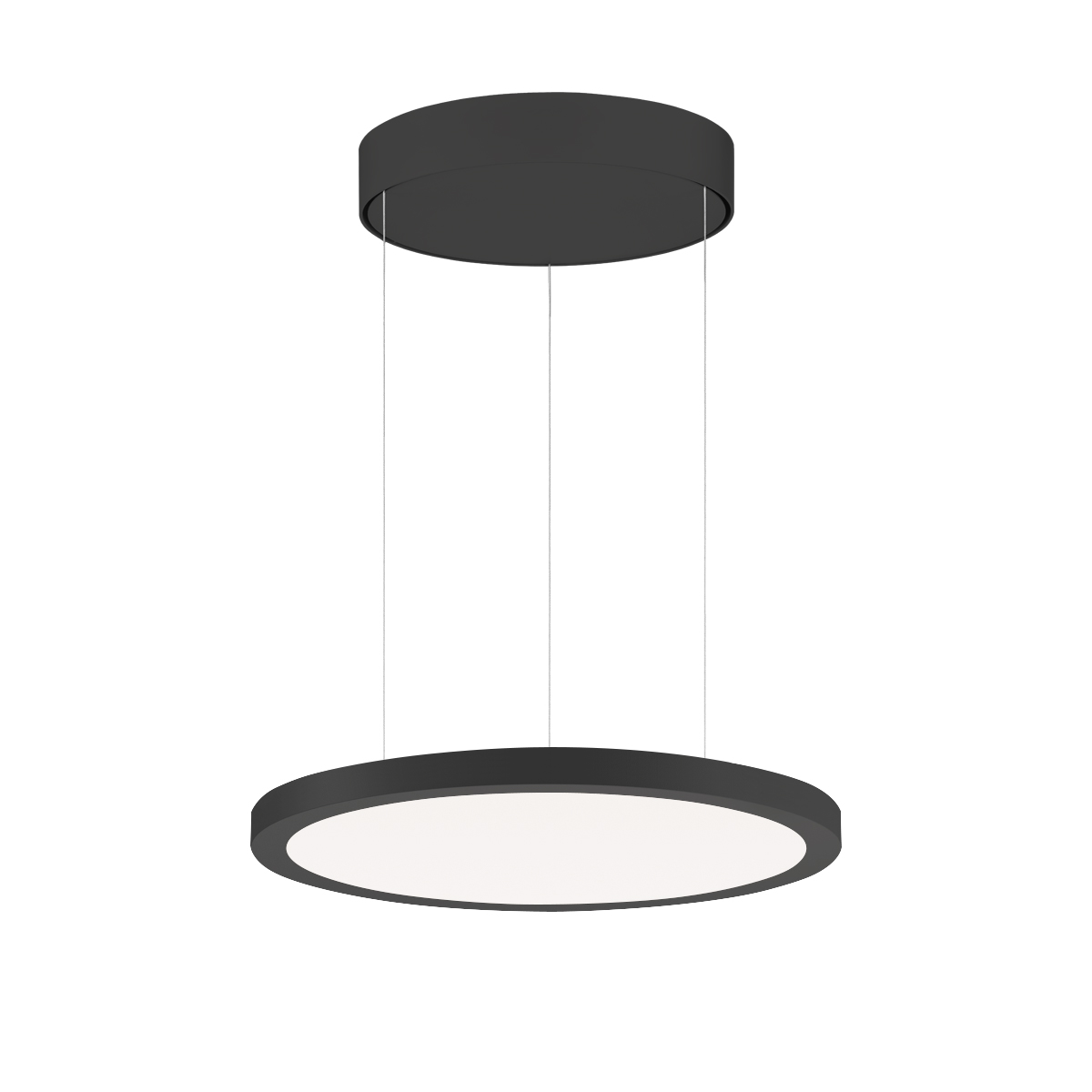 FL R+ 333 PL 8/23 S/B 830 BK9005 DALI OP