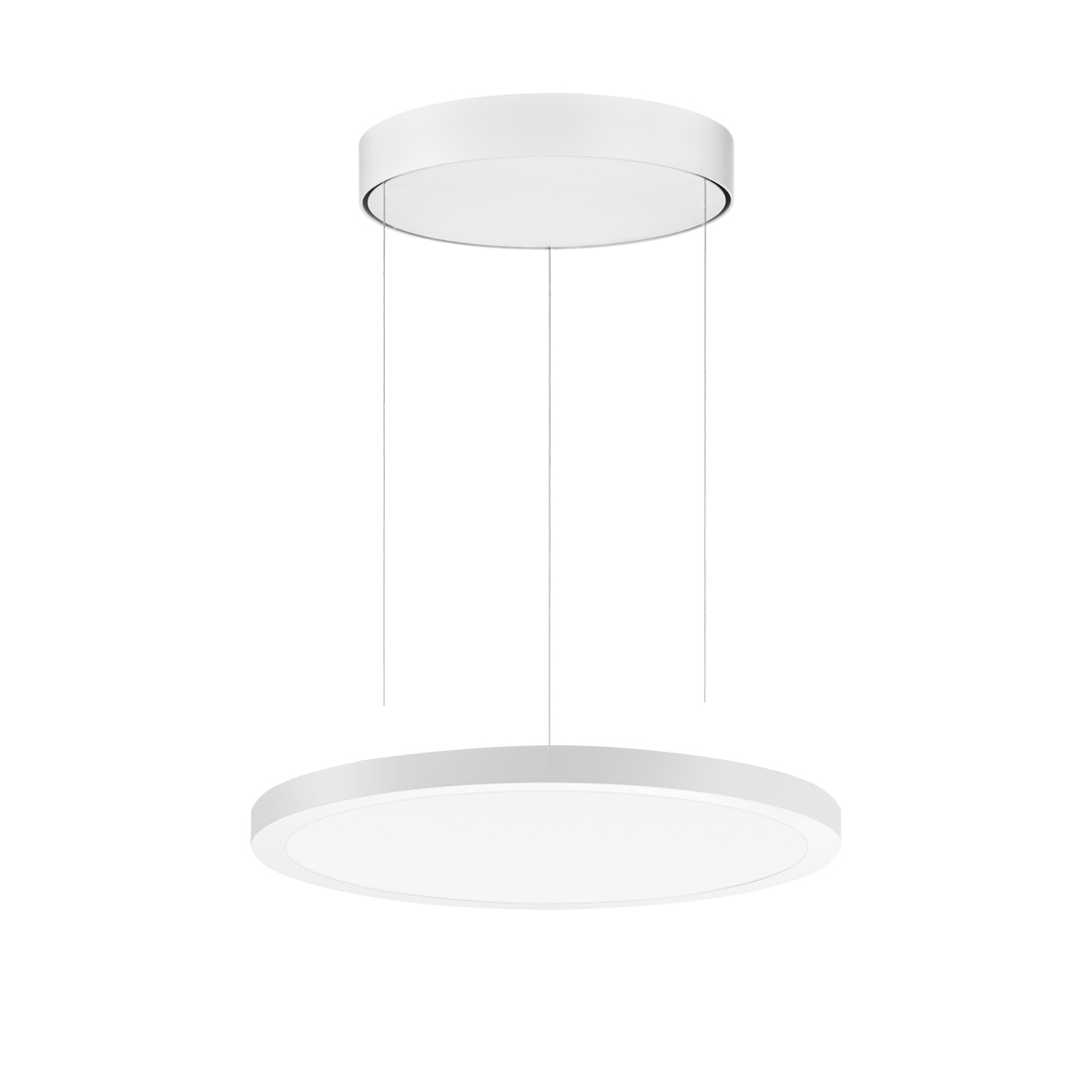 FL R+ 333 PL 8/23 S/B 830 WH9016 DALI OP