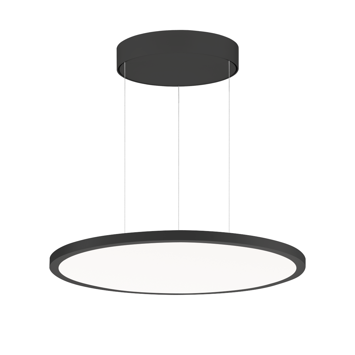 FL R+ 555 PL 19 S/B 830 BK9005 DALI OP