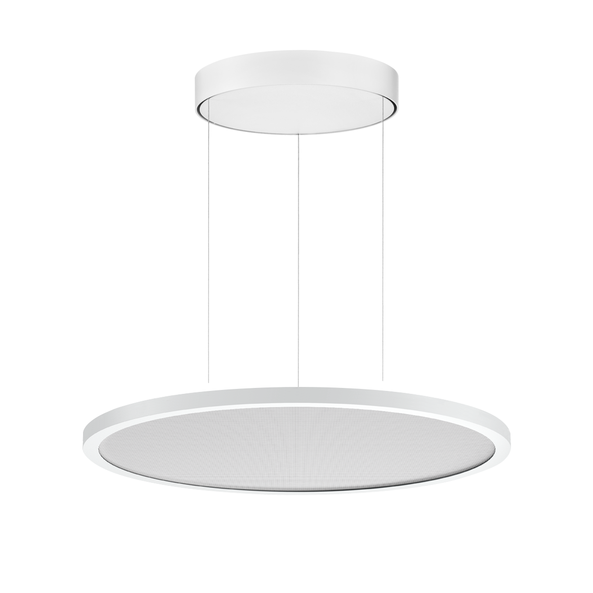 FL R+ 555 PL 19 S/B 830 WH9016 DALI MP