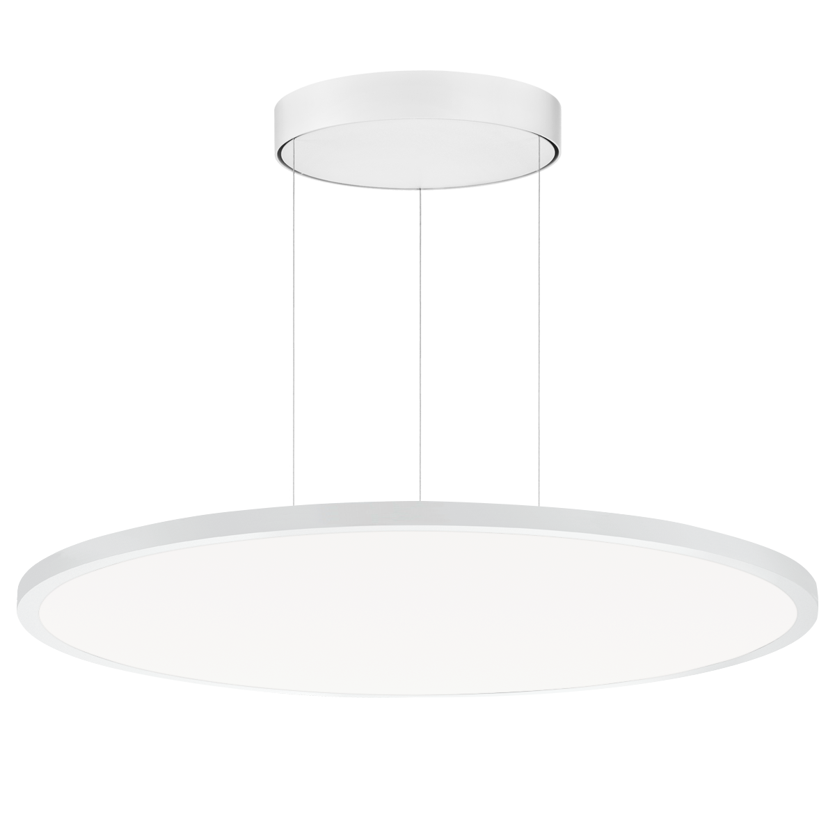 FL R+ 777 PL 34 S/B 830 WH9016 DALI OP