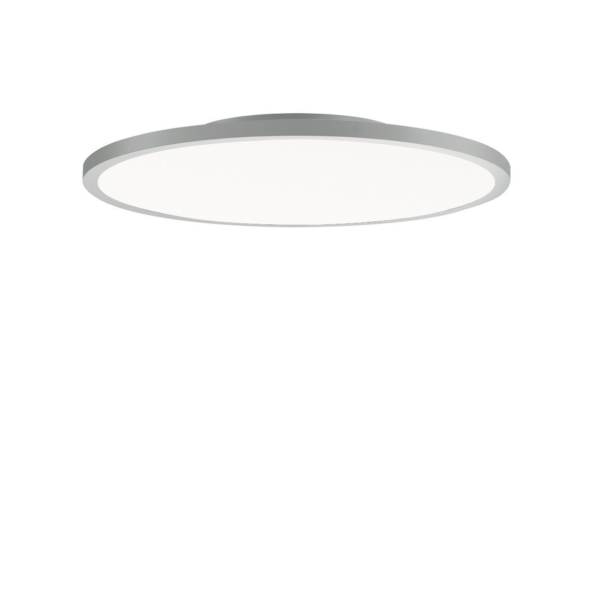 FL R+ 555 SM 19 S/B 830 GR9006 DALI OP