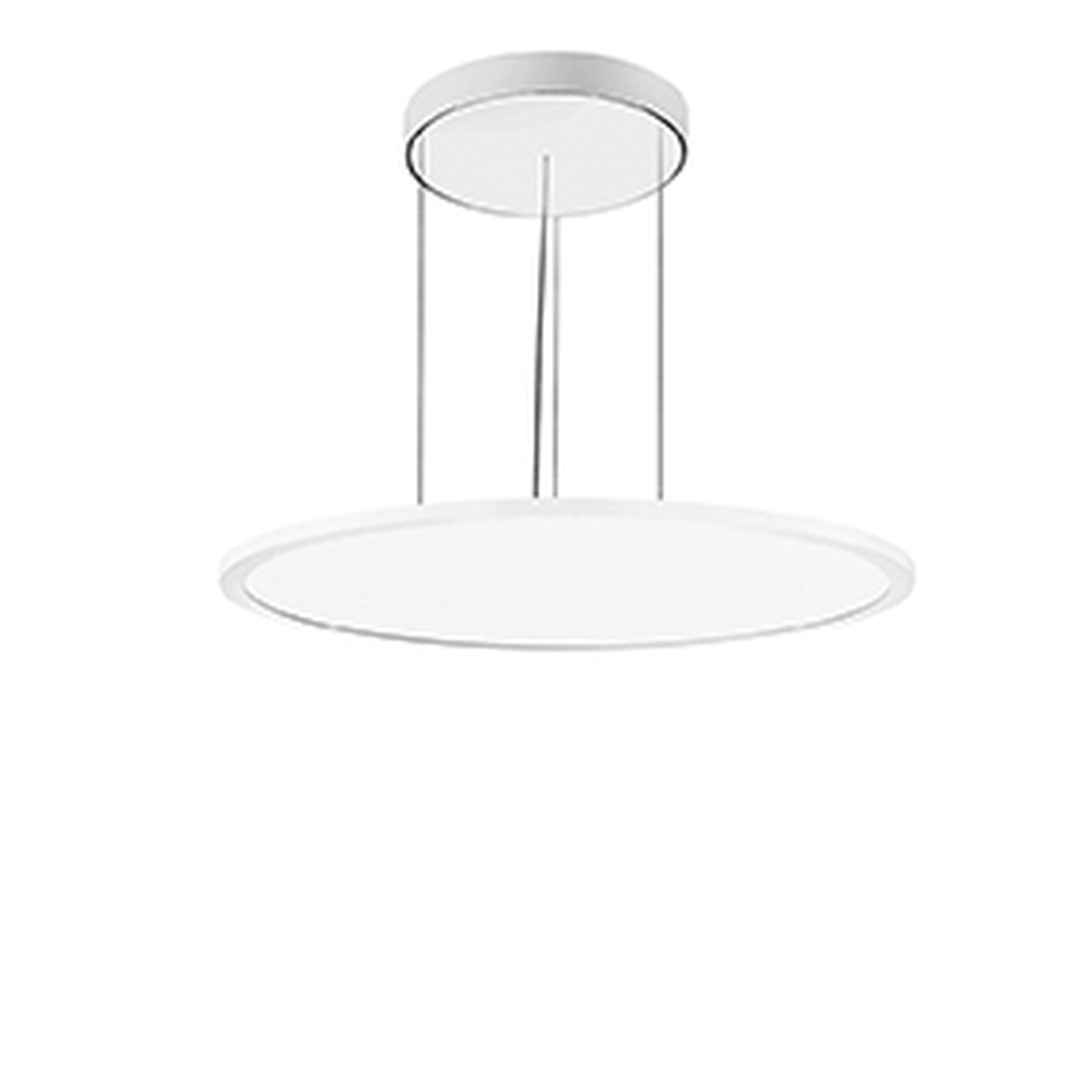 FL Round 555 MP, Pendelleuchte