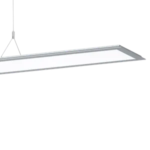 pl713_RAL9006_lp.webp
